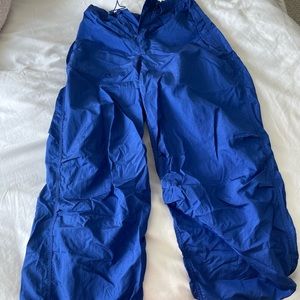 Limited edition Aritzia pants